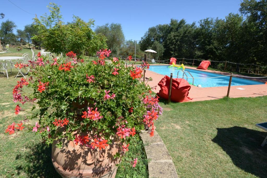 Agriturismi Farina Castiglione del Lago Buitenkant foto